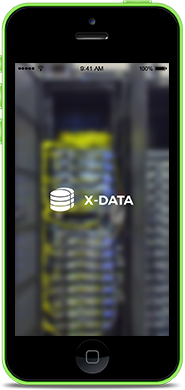 X-Data